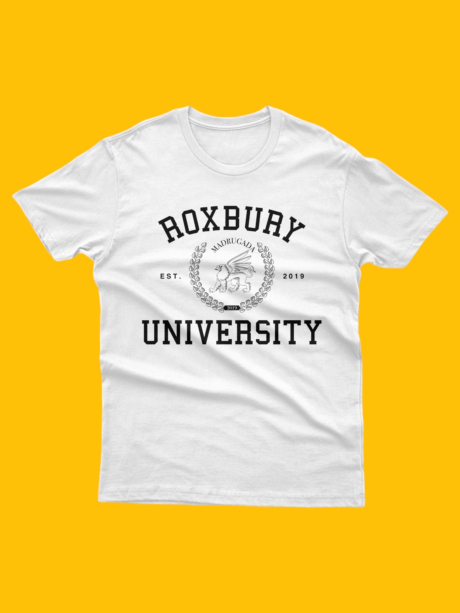 Roxbury University