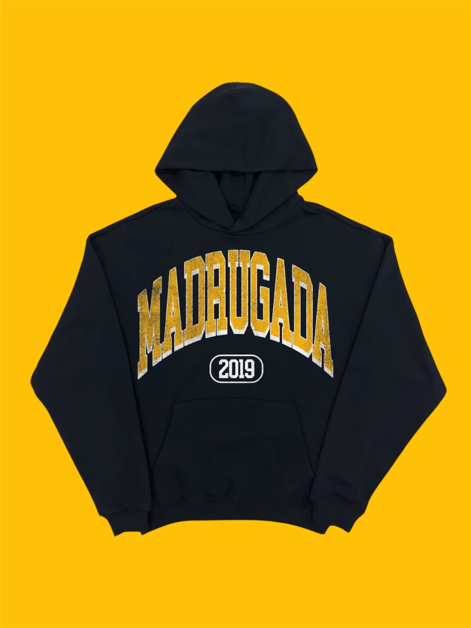 Collegiate Logo Hoodie