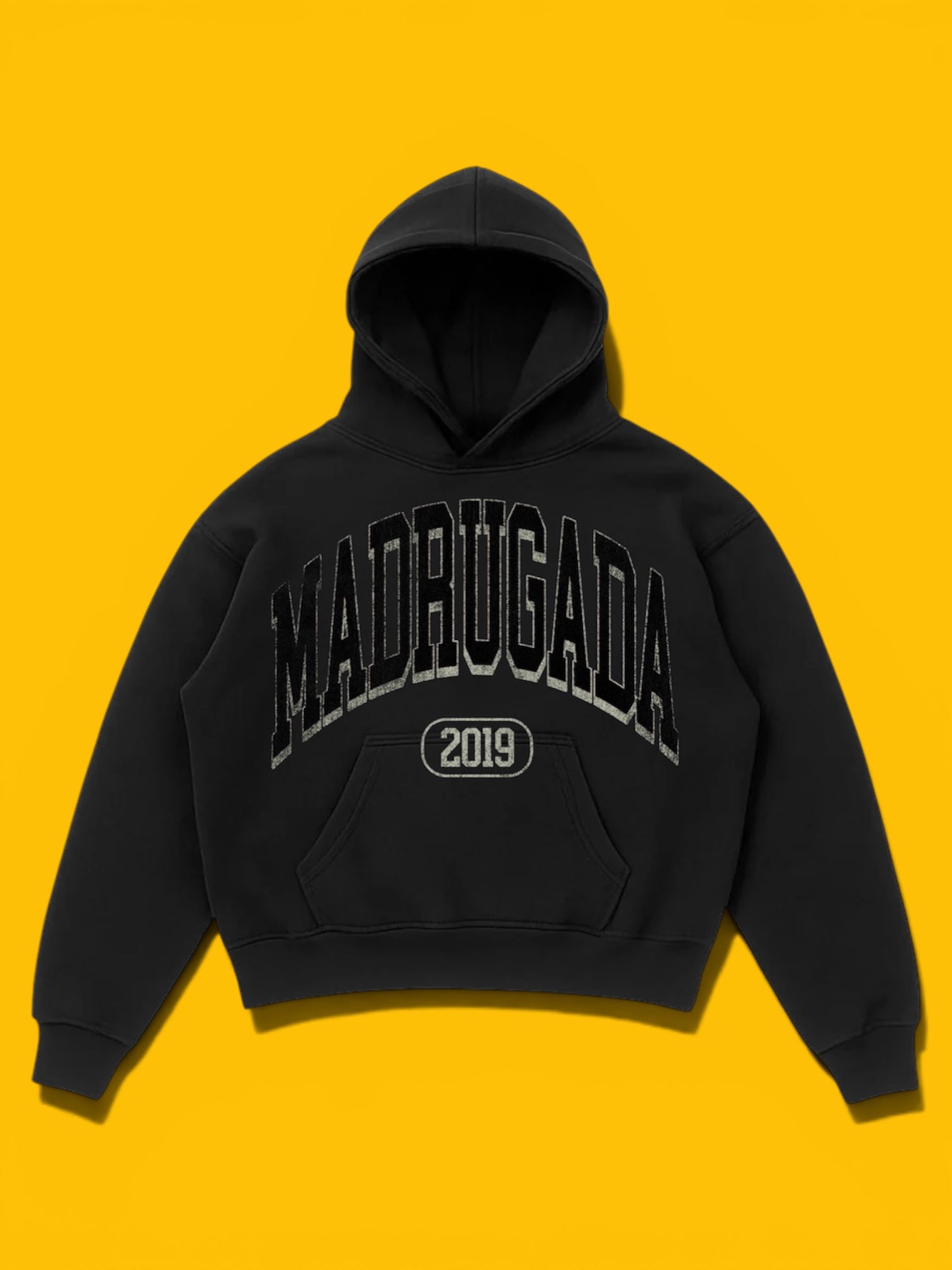 Collegiate Logo Hoodie