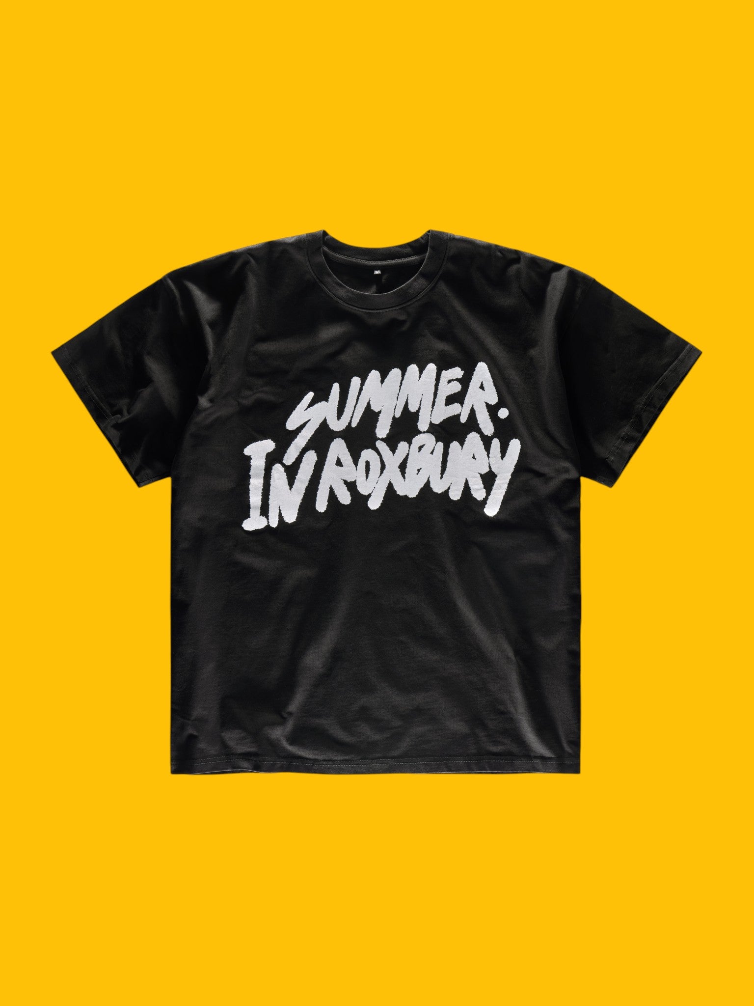 Summer in Roxbury T-Shirt